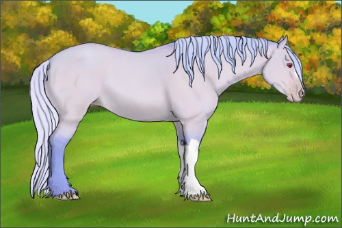 Horse Color:Watercolor Silver Amber Champagne Chinchilla Dun