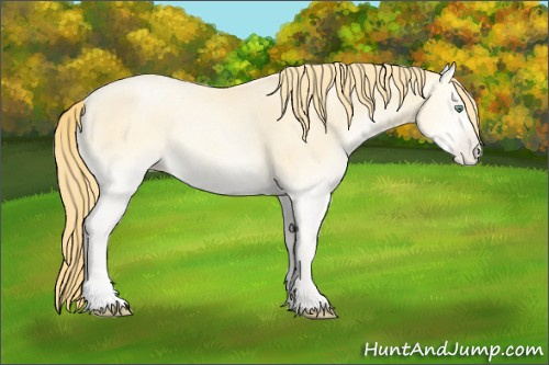 Horse Color:Buckskin Roan Pearl Onyx Rabicano 