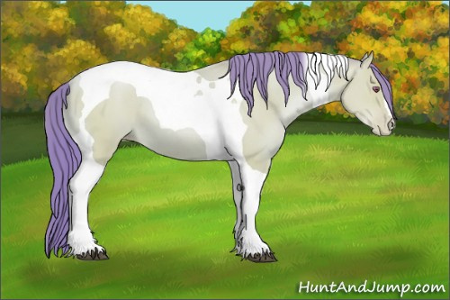 Horse Color:Watercolor Bay Chinchilla Pearl Tobiano 
