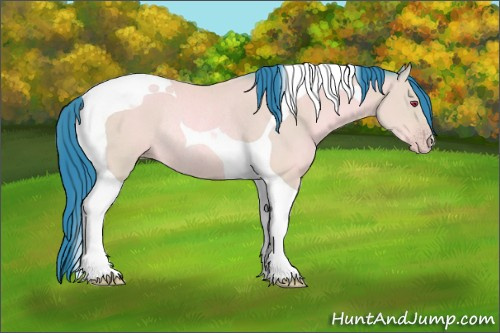 Horse Color:Watercolor Amber Champagne Chinchilla Tobiano Rabicano