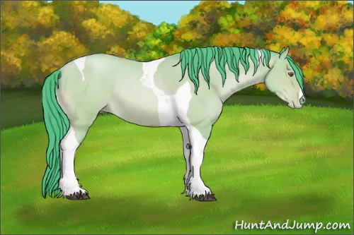 Horse Color:Watercolor Bay Chinchilla Pearl Tobiano Rabicano