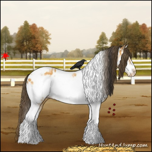 Horse Color:Buckskin Tobiano Frame Appaloosa 