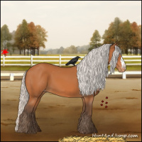 Horse Color:Silver Bay Varnish 