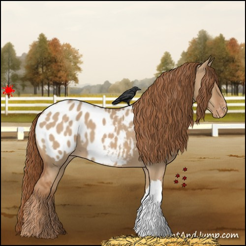 Horse Color:Red Dun Appaloosa 