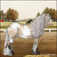 Horse Color:White Spotted Silver Bay Dun Varnish