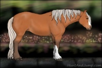 Horse Color:Silver Bay 