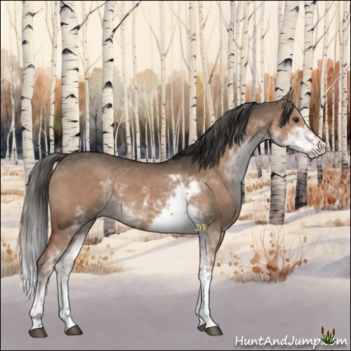Horse Color:Liver Red Dun Sabino 