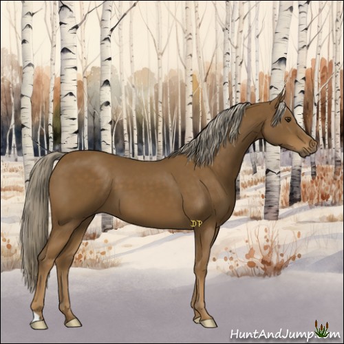 Horse Color:Chocolate Palomino 