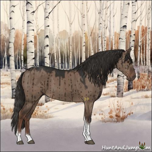 Horse Color:Liver Red Dun Tobiano Brindle