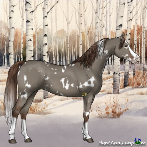 Horse Color:White Spotted Liver Red Dun Splash 