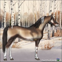 Horse Color:Liver Red Onyx Tobiano 