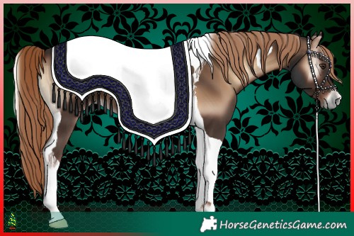 Horse Color:Liver Red Onyx Tobiano