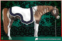 Horse Color:Liver Red Onyx Tobiano 
