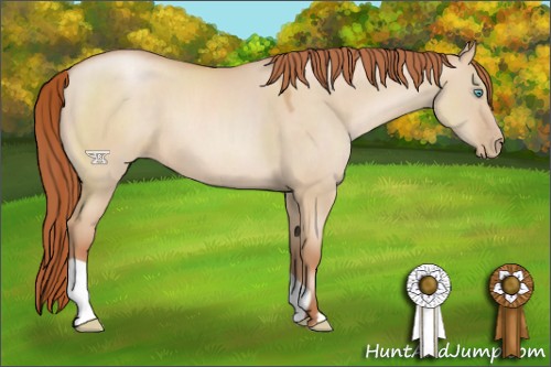 Horse Color:Buckskin Pearl Dun 