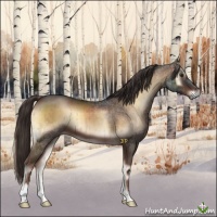 Horse Color:Liver Red Onyx Brindle 