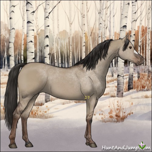 Horse Color:Liver Red Dun