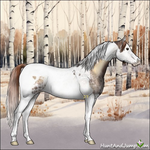 Horse Color:Liver Red Onyx Ice Splash Tobiano 
