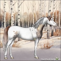 Horse Color:Liver Red Onyx Ice Splash Tobiano 