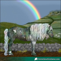 Horse Color:Nacre Watercolor White Spotted Silver Brown Ice