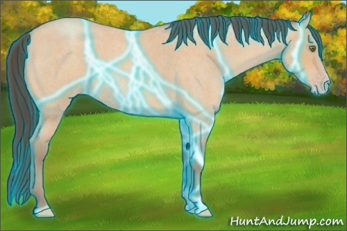 Horse Color:Thunderstruck Amber Champagne Roan 