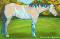 Horse Color:Thunderstruck Amber Champagne Roan