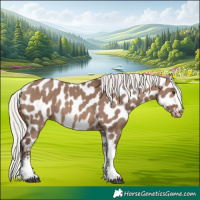 Horse Color:Silver Brown Dun Sabino Tobiano Near Leopard Rabicano 