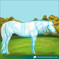 Horse Color:Thunderstruck Gold Cream Champagne Appaloosa 