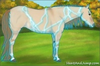 Horse Color:Thunderstruck Red Dun Roan 