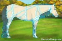 Horse Color:Thunderstruck Amber Cream Champagne Dun 