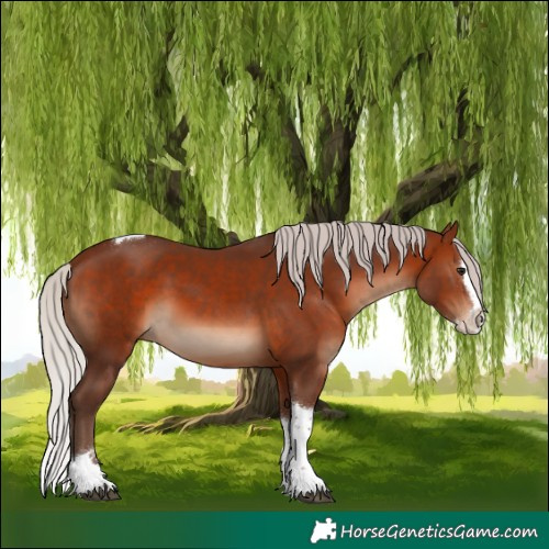 Horse Color:Silver Brown Splash Tobiano Rabicano