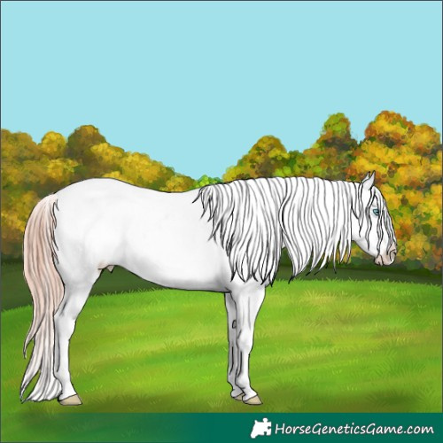 Horse Color:Sable Cream Champagne Pearl Onyx Blanket Brindle
