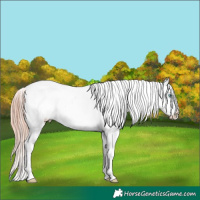 Horse Color:Sable Cream Champagne Pearl Onyx Blanket Brindle 