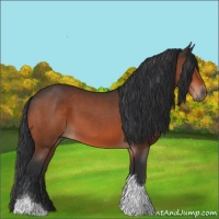 Horse Color:Bay Tobiano 