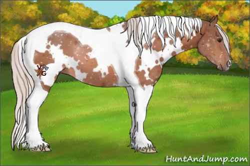 Horse Color:White Spotted Silver Brown Tobiano 