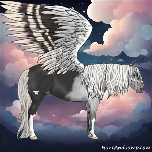 Horse Color:Liver Chestnut Mushroom Appaloosa 