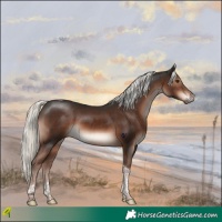 Horse Color:Liver Chestnut Mushroom Tobiano