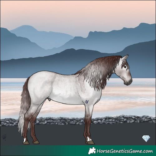 Horse Color:Gray Platinum Chocolate Brown Roan Dun 