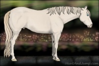 Horse Color:Smoky Creme 