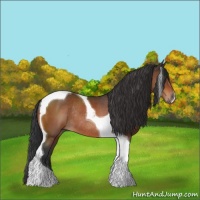Horse Color:Bay Tobiano Rabicano 
