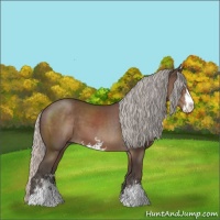 Horse Color:Silver Black Sabino