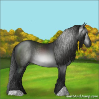Horse Color:Gray Black 