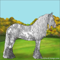 Horse Color:White Spotted Chocolate Silver Sable Champagne Chinchilla Ice