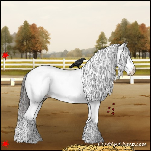 Horse Color:White Spotted Grullo Tobiano Appaloosa