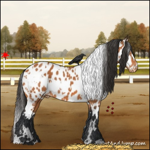 Horse Color:White Spotted Bay Near Leopard