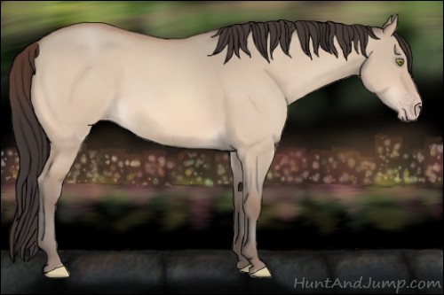 Horse Color:Amber Champagne Dun