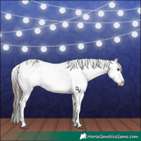 Horse Color:Brown Sabino Splash Varnish and Black Sabino Splash Varnish