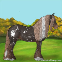 Horse Color:White Spotted Liver Chestnut Snowflake Varnish 