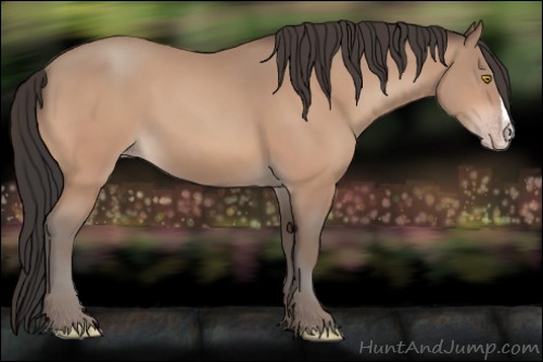 Horse Color:Amber Champagne Splash 