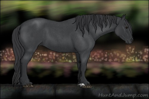 Horse Color:Blue Roan
