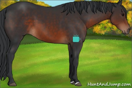 Horse Color:Brown 